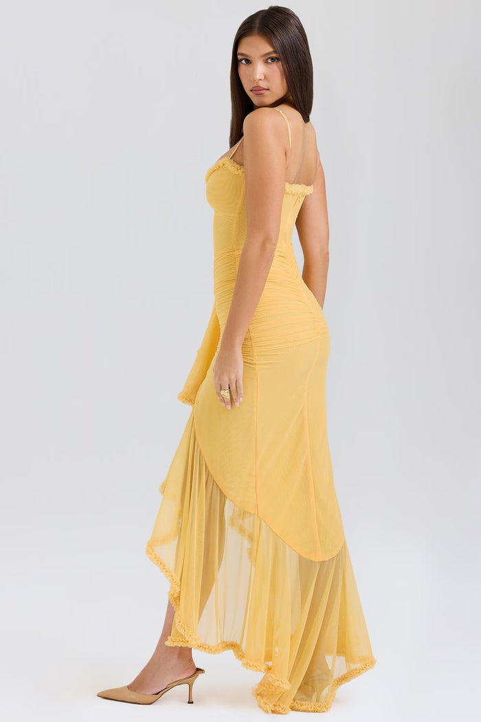 Lydia ärmelloses Midikleid mit Blumenmuster
