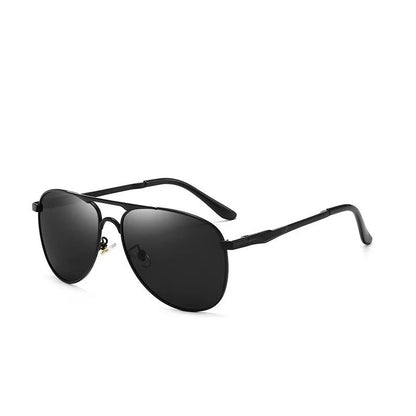 Classic Aviator Sunglasses - Harren Cole