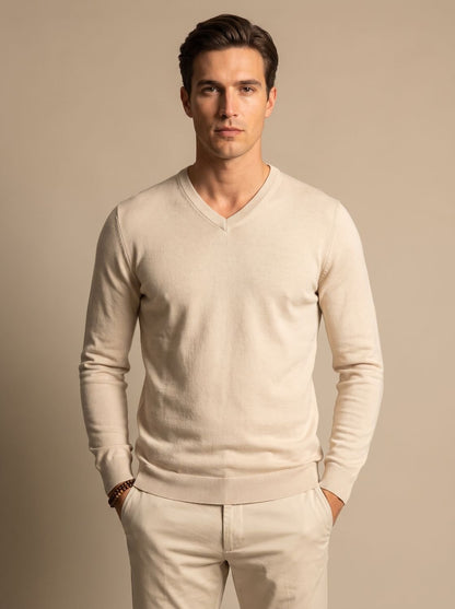 Men's Slim-Fit V-Neck Fine-Knit Sweater - Harren Cole